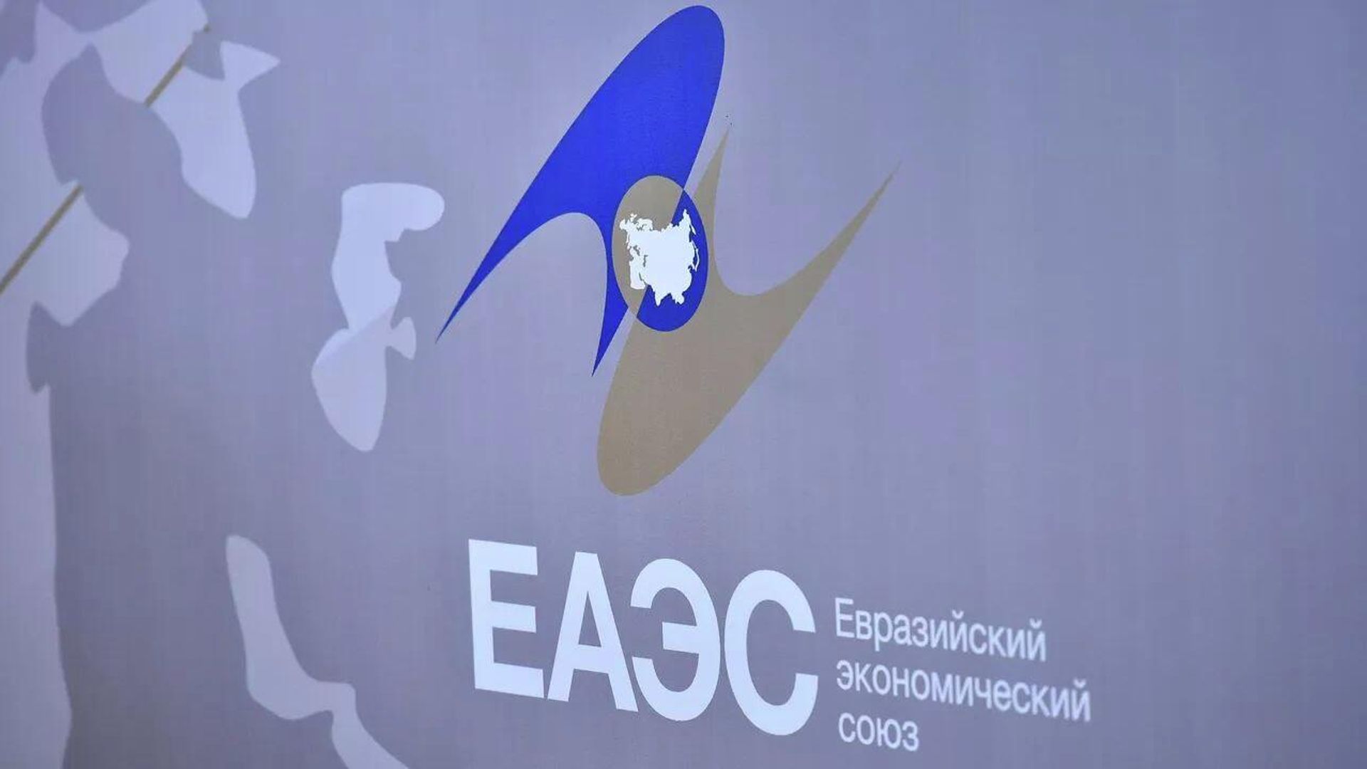 ЕАЭС внедрит цифровые сервисы для студенческой мобильности в 2026 году